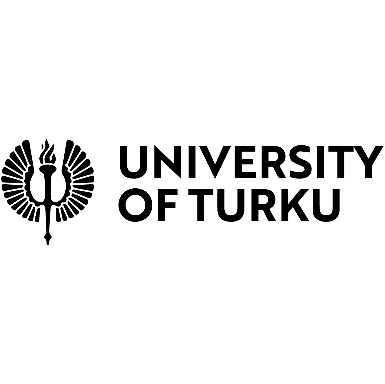 University of Turku